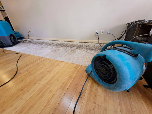 Professional Water Damage Repair technician working in Petros, TN
